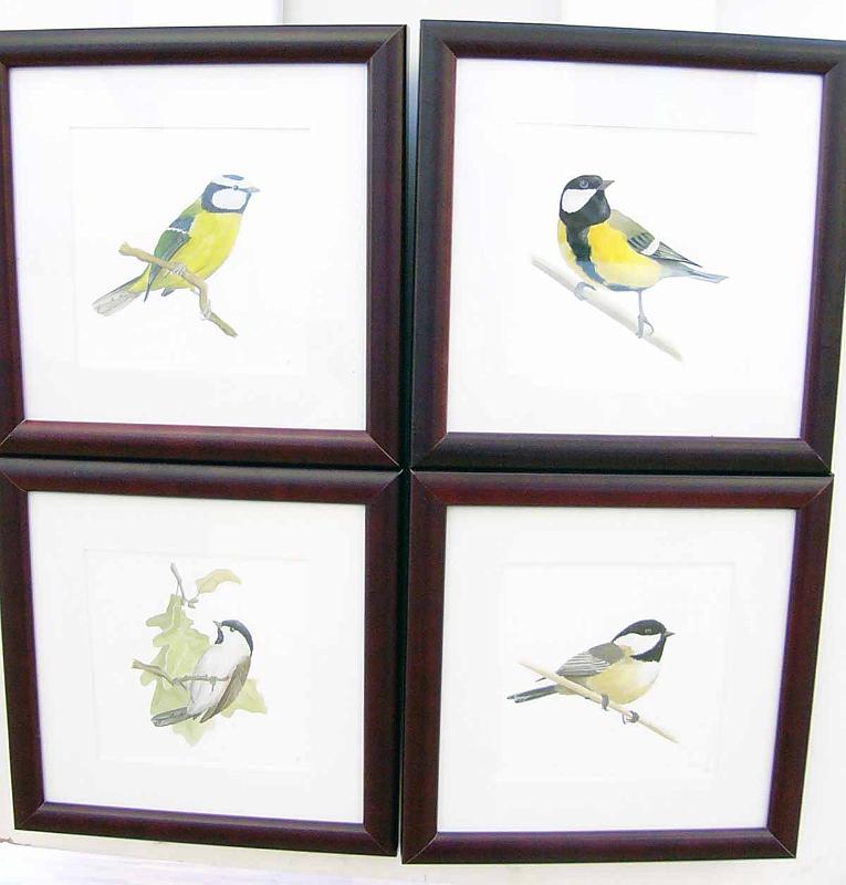 blank01.jpg - Susanne Blank: Vogelaquarelle "4 Meisen"
