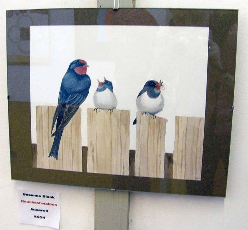 blank04.jpg - Susanne Blank: Vogelaquarell "Rauchschwalben"