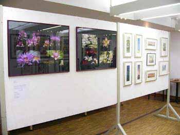 kruft01.jpg - Guntram Kruft: Ausstellungswand mit Fotografien