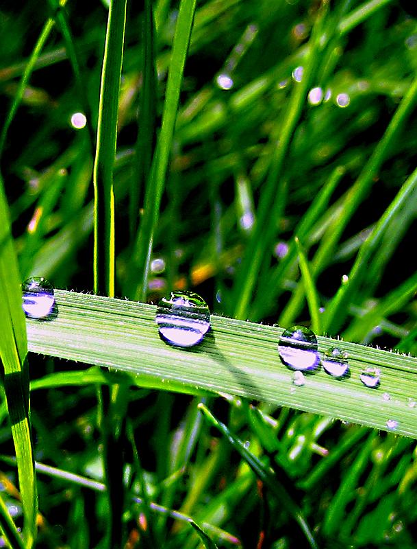 Thelen_.jpg - Ewald Thelen - Fotografien